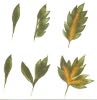 Листья в петриковской росписи